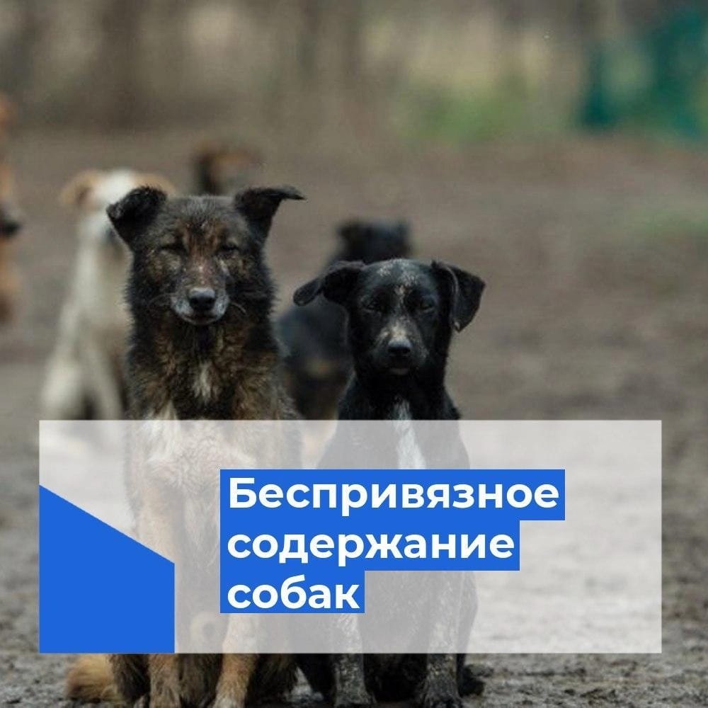 Состоялось заседание административной комиссии Администрации Первомайского района.