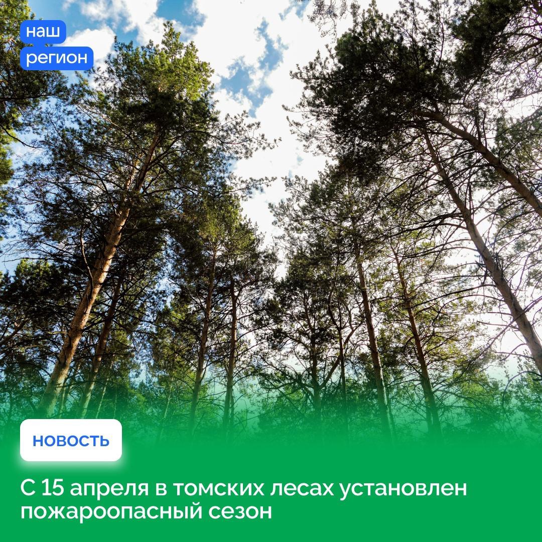 Пожароопасный сезон объявлен в лесах Томской области.