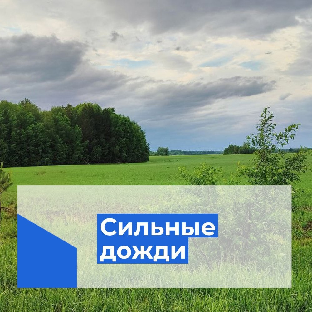 Прогноз погоды на 28 и 29 июня.