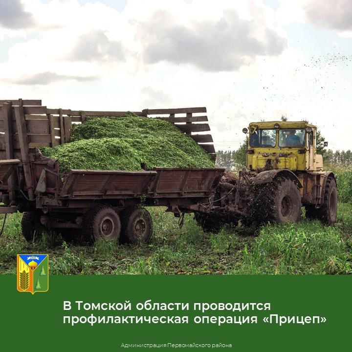 В Томской области проводится профилактическая операция «Прицеп».