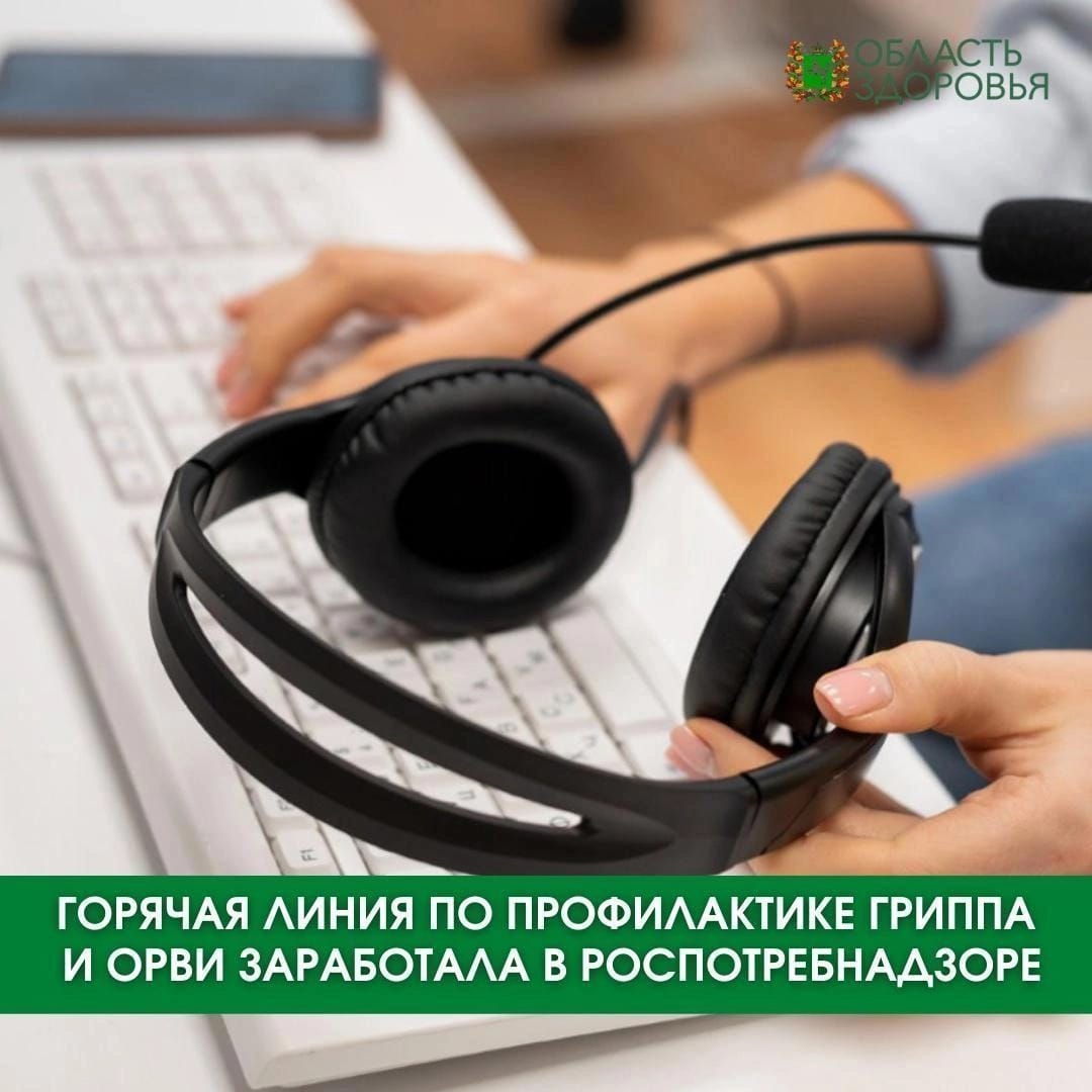 Роспотребнадзор по Томской области запустил горячую линию по профилактике гриппа и ОРВИ, она будет работать до 13 октября.