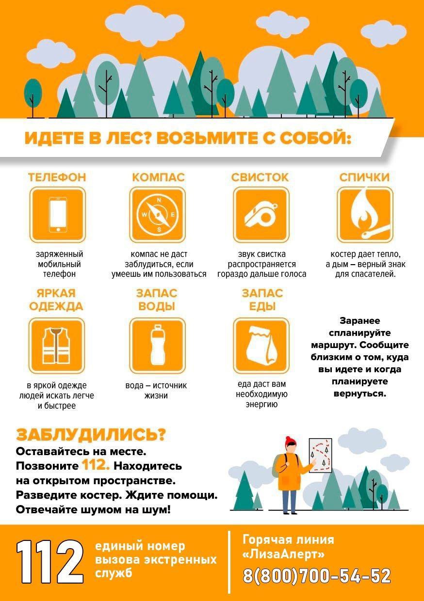 Начался ягодно-грибной сезон.