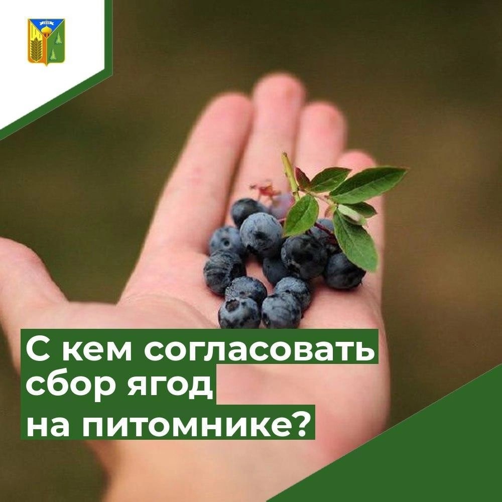 Уважаемые жители Первомайского района!.