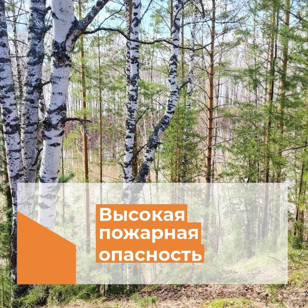 По Томской области 18-20 мая сохраняется высокий уровень пожароопасности – 5 класс.