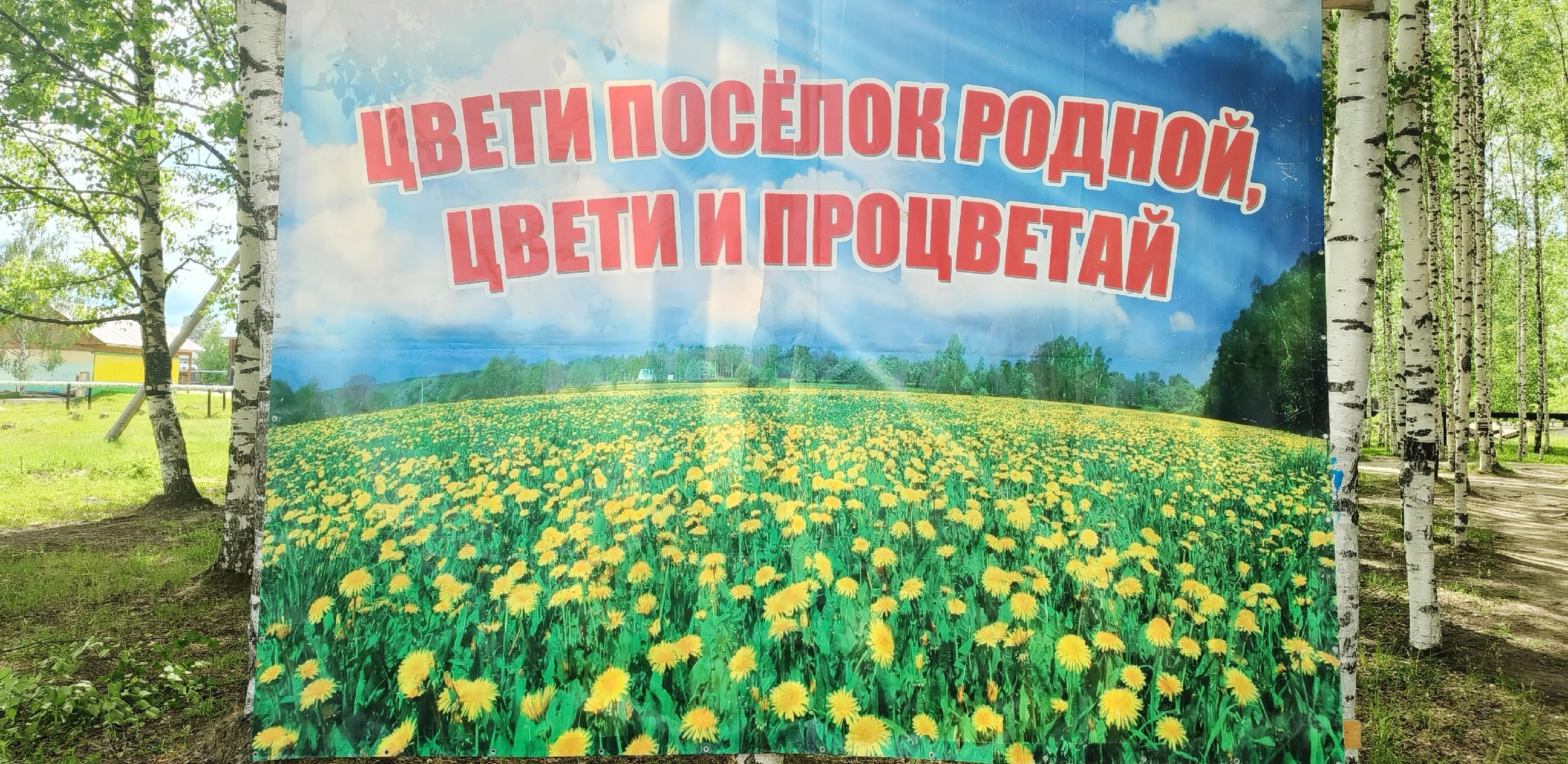 Нам 55 лет!.