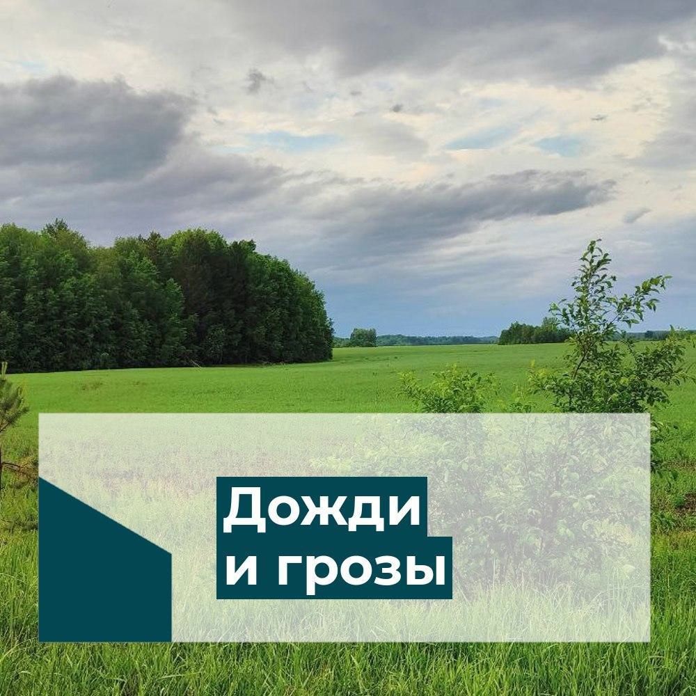 По прогнозам синоптиков, с 12 по 14 июля по области ожидаются кратковременные дожди, грозы, при грозах ливни, возможен град, порывы ветра 15-20 м/с..