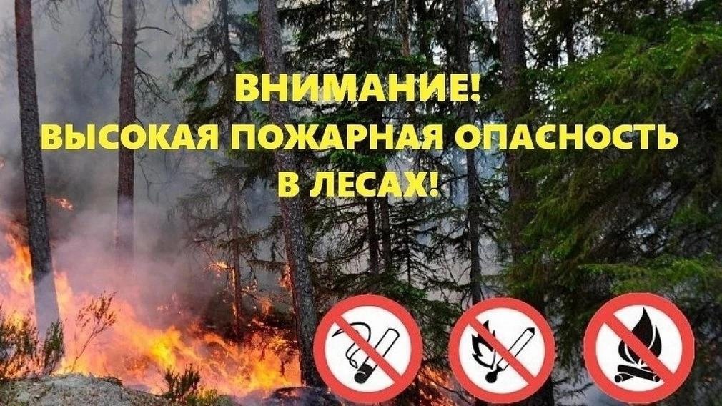 4 класс пожарной опасности ожидается по области..