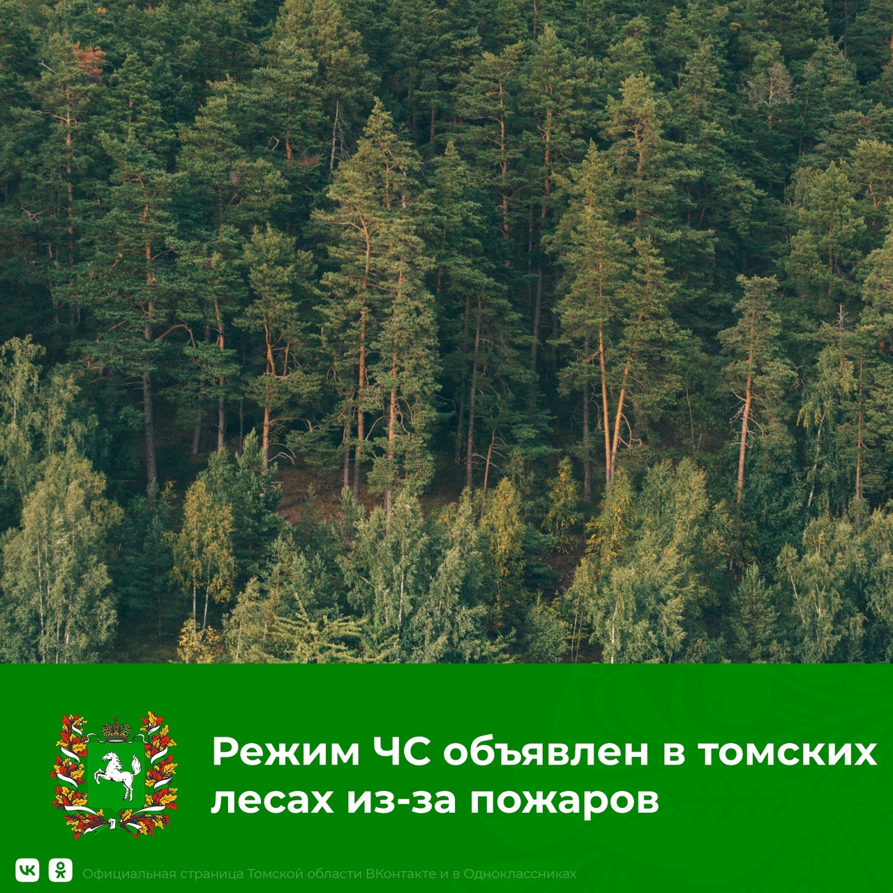 Губернатор Томской области Владимир Мазур ввел режим ЧС в лесах региона из-за пожаров.