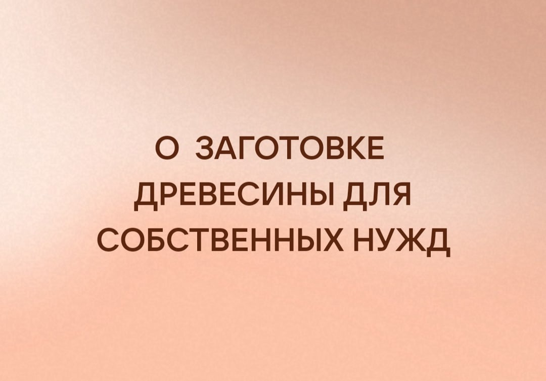 Томская межрайонная природоохранная прокуратура разъясняет Порядок предоставления древесины для возведения строений, отопления и иных собственных нужд, не связанных с предпринимательской деятельностью.