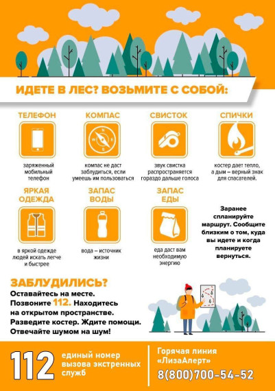 Начался ягодно-грибной сезон. Начался ягодно-грибной сезон.