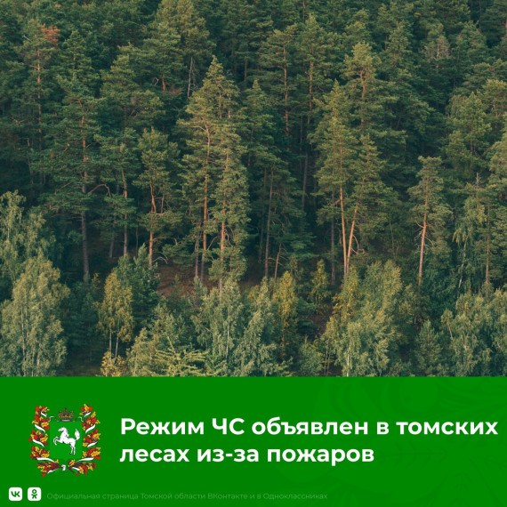 Губернатор Томской области Владимир Мазур ввел режим ЧС в лесах региона из-за пожаров. Губернатор Томской области Владимир Мазур ввел режим ЧС в лесах региона из-за пожаров.