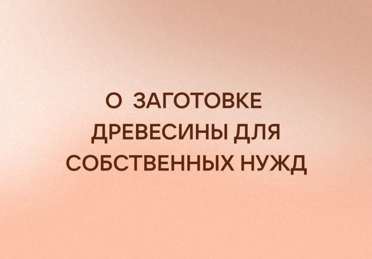 Томская межрайонная природоохранная прокуратура разъясняет Порядок предоставления древесины для возведения строений, отопления и иных собственных нужд, не связанных с предпринимательской деятельностью. Томская межрайонная природоохранная прокуратура разъясняет Порядок предоставления древесины для возведения строений, отопления и иных собственных нужд, не связанных с предпринимательской деятельностью.