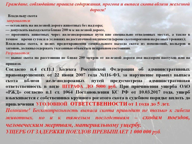 Соблюдайте правила содержания, прогона и выпаса скота вблизи ЖД. Соблюдайте правила содержания, прогона и выпаса скота вблизи ЖД.